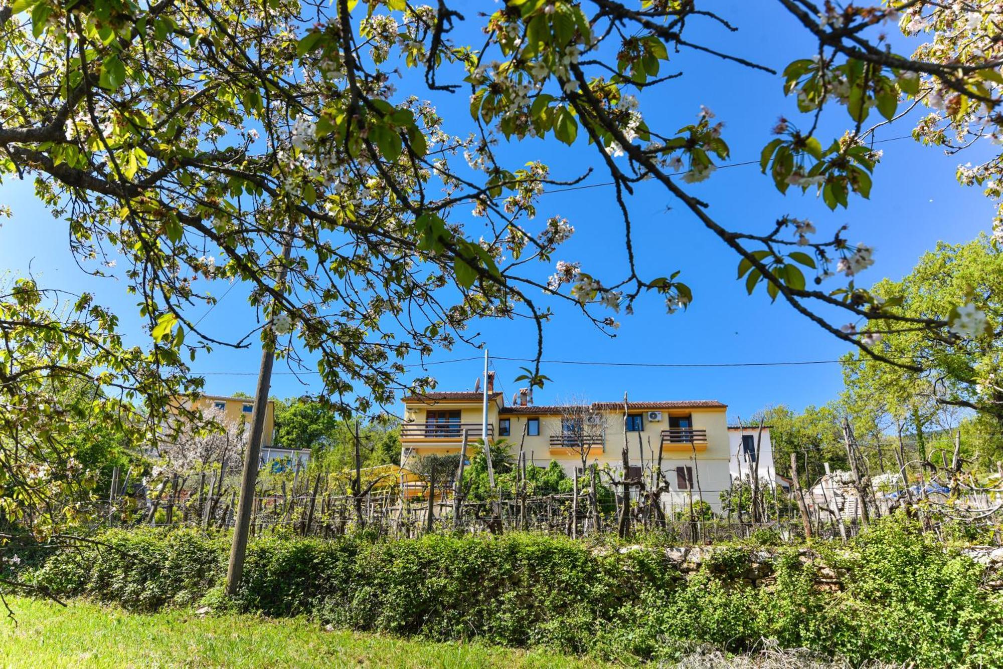 Casa Andrea Dom wakacyjny