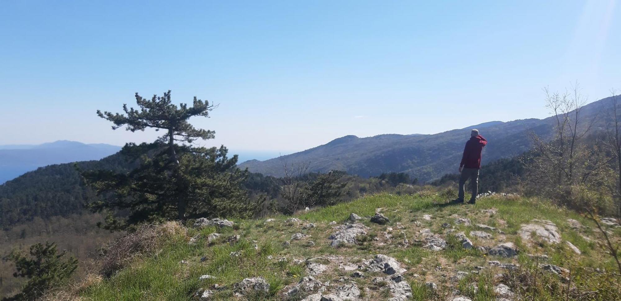 Casa Andrea * Mošćenička Draga